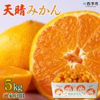 ふるさと納税 西予市 【先行予約】愛媛県明浜産　天晴みかん(温州みかん) 5kg