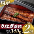 ふるさと納税 薩摩川内市 国産うな