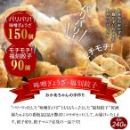 居酒屋のおかあちゃん手作り パリパリひと口ぎょうざともち…