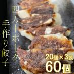ヤマジュウの特選 四万十ポーク手作り餃子60個