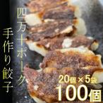 ヤマジュウの特選 四万十ポーク手作り餃子100個