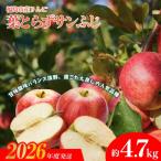 No.1925 ふくしまのりんご 葉取らずサンふじ 約4.7kg