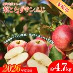 No.1927ふくしまのりんご 葉取らずサンふじ