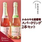 サントネージュスパークリング かみのやま産葡萄