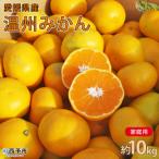 山徳農園 温州みかん 10kg