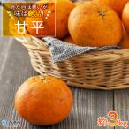 見た目は悪いが味は逸品 無茶々園の甘平 3kg