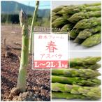 fu.... налог длина . город [2026 год отправка ] Suzuki * ферма. весна aspala(L~2L размер *1kg)_H116(R8)