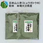 日本山人参 ヒュウガトウキ 粉末 本場 F09002