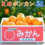 < 明浜産 天晴ポンカン 吉田ポンカン
