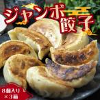 ふるさと納税 吉見町 味のきんせい　手作り餃子8個入り3セット　ジャンボギョーザ