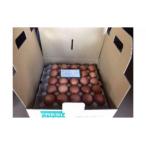 fu.... налог . талант город {. талант производство }.... Tama .50 шт [52210677]