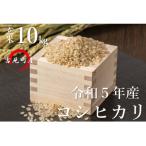 コシヒカリ 10kg