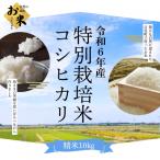 特別栽培米コシヒカリ 10kg