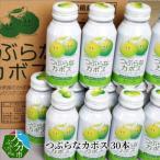 つぶらなカボス 30本