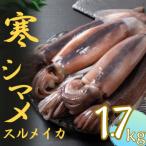 fu.... налог море . блок [ утро .. холод simame большой размер 5~6 кубок ]1.7kg и больше .. кальмар тихоокеанский кальмар 