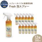 食器用洗剤 Fresh泡スプレー 本体 〈マルフクケミファ〉