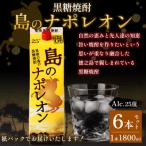 本格 黒糖焼酎 島のナポレオン 紙パック 1800ml×6本セット