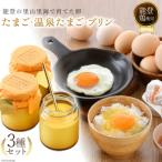 fu.... налог ... вода блок Tama .2 вид &amp; горячие источники Tama .( суп имеется ) &amp; пудинг [nakayamaeg Ishikawa префектура 38600467]