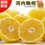 ふるさと納税 愛南町 �