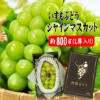 いずもぶどう シャインマスカット 800g見当