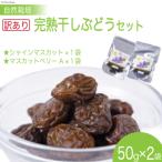 自然栽培 完熟干しぶどう ミックスセット 50g×2袋