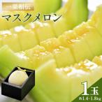 ふるさと納税 香南市 メロン 1玉入り 一果相伝マスクメロン 1玉 青肉 tn-0010