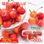 fu.... налог Fukushima город вишня товар вид оставив решение кому-то другому превосходящий L шар примерно 600g[2026 год адресат line прием ]No.2094No.