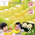 マスクメロン 2玉