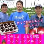 ~甘酸っぱい爽やかな美味しさ~ふとり農園のパッションフル…