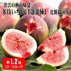 出雲の秋の味覚多伎いちじく 蓬莱柿 化粧箱入り