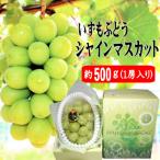 いずもぶどう シャインマスカット 500g見当