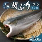 関ぶりのフィレ カマ付 約1.5kg