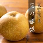 Y098 旬の赤梨セット 4kg