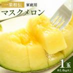 ふるさと納税 香南市 メロン 訳あり 1玉入り 青肉 マスクメロン 家庭用 tn-0024