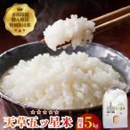 ふるさと納税 天草市 令和7年産 天草五ッ星米 精米 5kg_S061-009A
