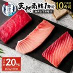 天然南鮪1本分 約2kg