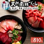 総重量約800g 天然南鮪づくし a20-242