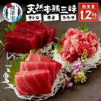 総重量約1250g 天然本鮪三昧 a30-175