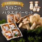 Y197 産きのこのバラエティーセット