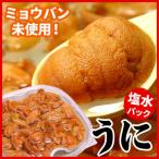 ふるさと納税 根室市 エゾバフンウニ(赤色)塩水パック100g×1P[2026年1月下旬以降発送] B-07018