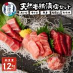 天然本鮪満喫セット a50-096