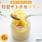 <奥伊予城川の味 特製サトチカプリン