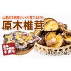 E049 山口徳地産原木栽培乾しいたけ40g×3袋