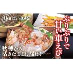 C045 山口秋穂産活きあいおえび1kg
