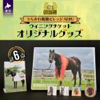優駿ビレッジAERU G1馬 ウイニングチケット