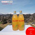 ふるさと納税 小川村 サンふじりんご100%ジュース1L2本*201