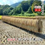 自慢のはぜかけ米10キロ*401