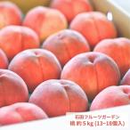 ふるさと納税 三条市 先行受付 桃 5kg [2026年発送分] 新潟県産桃 [石田フルーツガーデン] 【017P021】