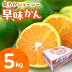 ブランド 極早生みかん 早味かん 5kg