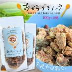 豆乳がオススメ 島の豆腐店が作ったおからグラノーラ 2袋